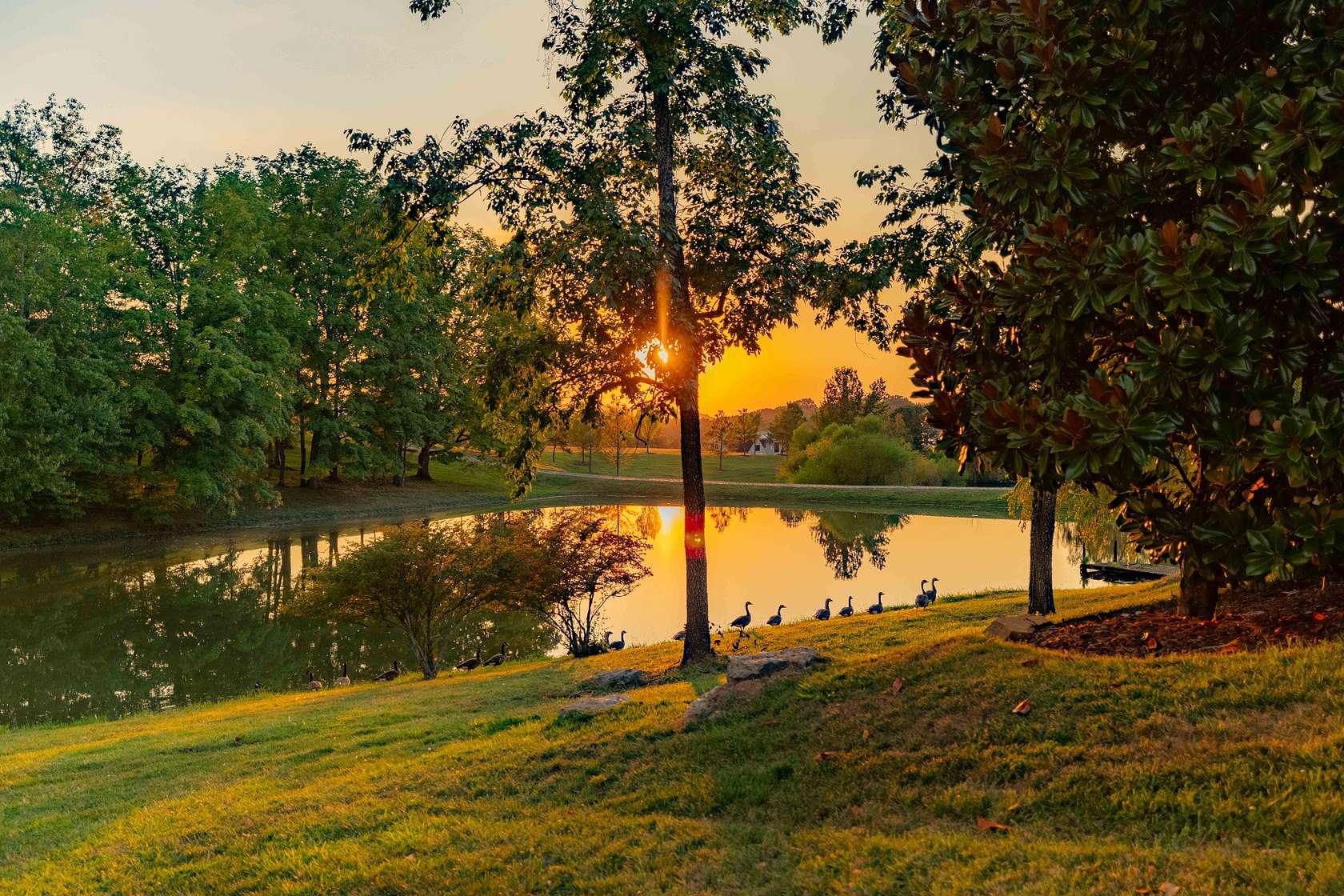 0.43 Acres of Residential Land for Sale in College Grove, Tennessee