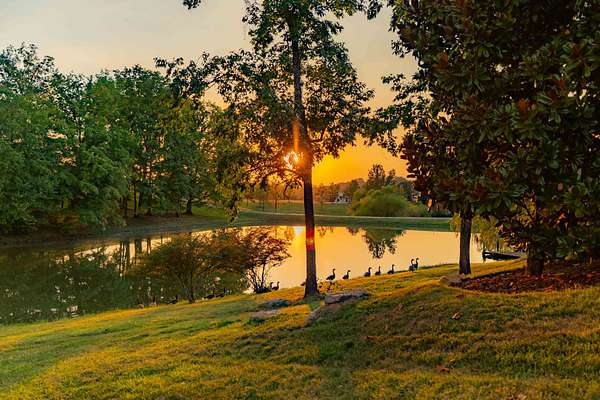 0.43 Acres of Residential Land for Sale in College Grove, Tennessee