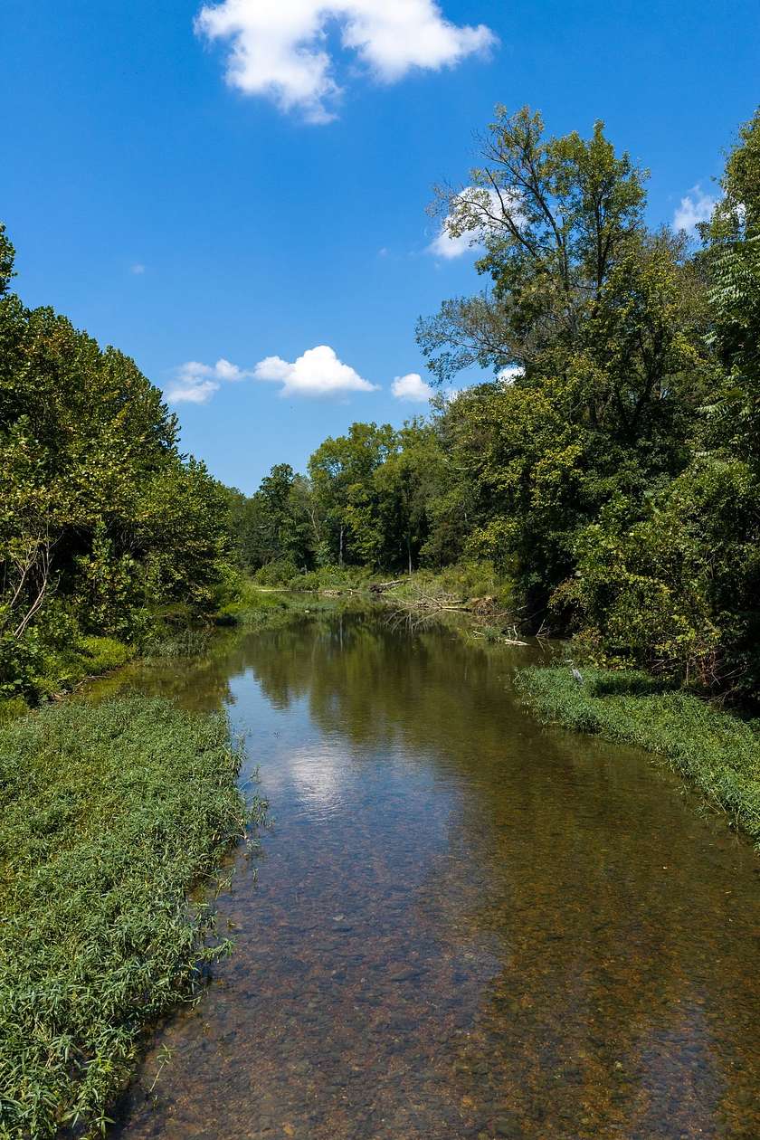 23.2 Acres of Recreational Land for Sale in Erin, Tennessee