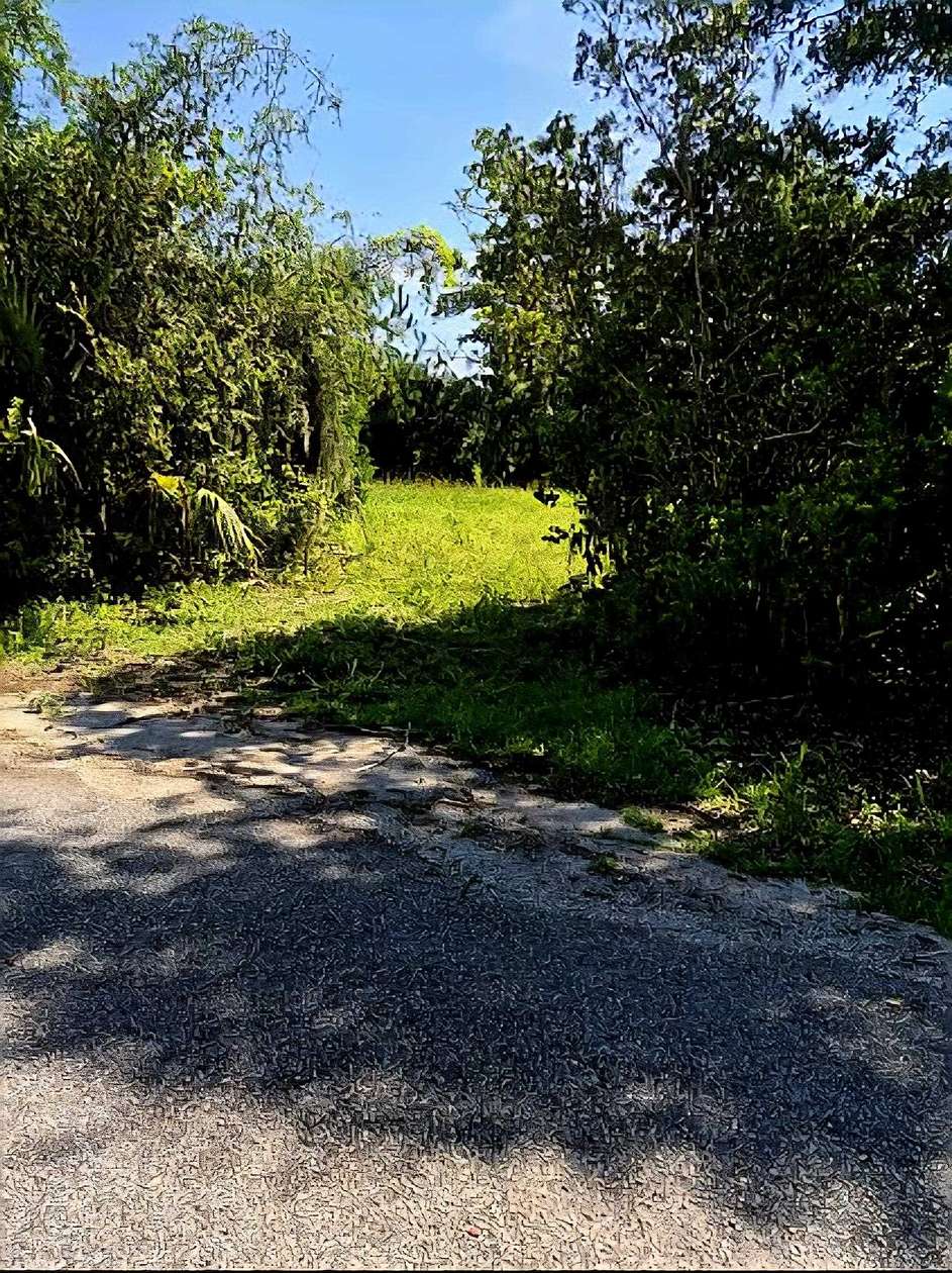 0.21 Acres of Residential Land for Sale in Pawleys Island, South Carolina