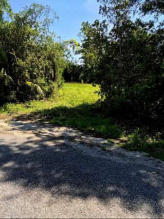 0.21 Acres of Residential Land for Sale in Pawleys Island, South Carolina