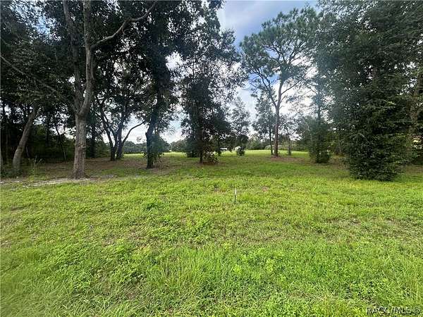 1 Acre of Residential Land for Sale in Hernando, Florida