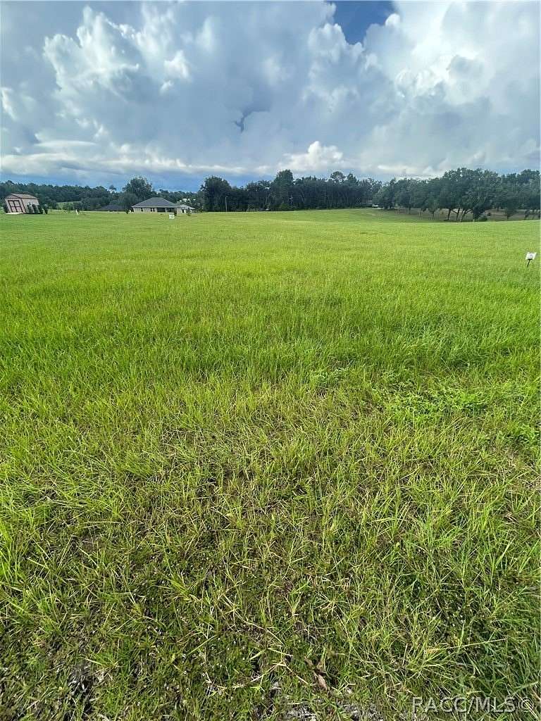 1 Acre of Residential Land for Sale in Hernando, Florida