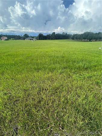 1 Acre of Residential Land for Sale in Hernando, Florida
