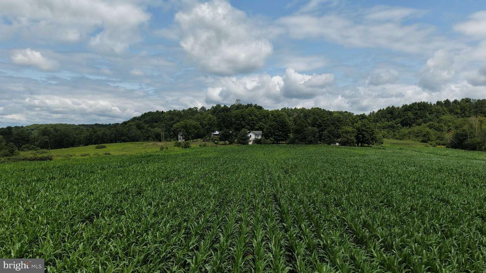 131 Acres of Agricultural Land with Home for Auction in Sligo, Pennsylvania