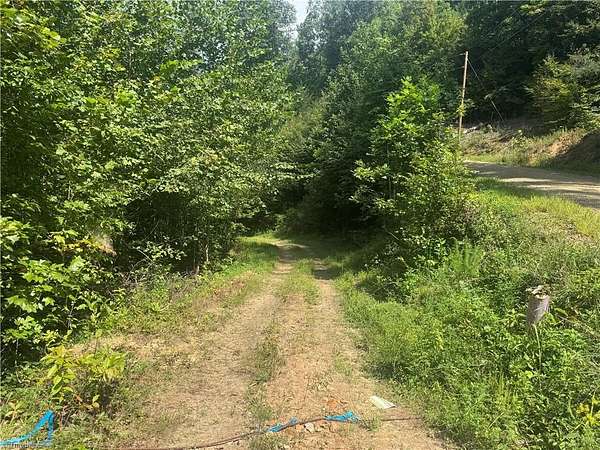 77 Acres of Land for Sale in Ferguson, North Carolina