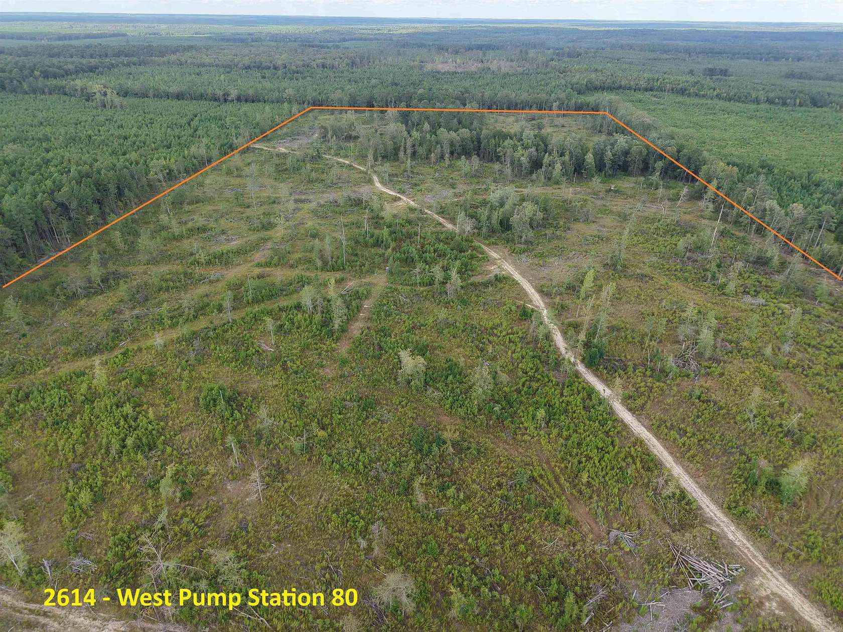 80 Acres of Recreational Land for Auction in Emerson, Arkansas