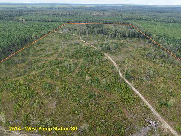 80 Acres of Recreational Land for Auction in Emerson, Arkansas