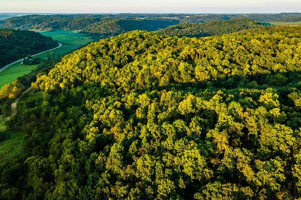 72 Acres of Recreational Land for Sale in Avoca, Wisconsin