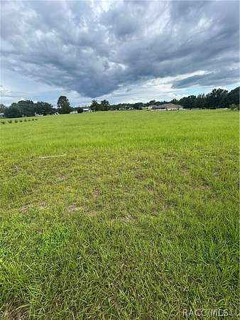 1 Acre of Residential Land for Sale in Hernando, Florida