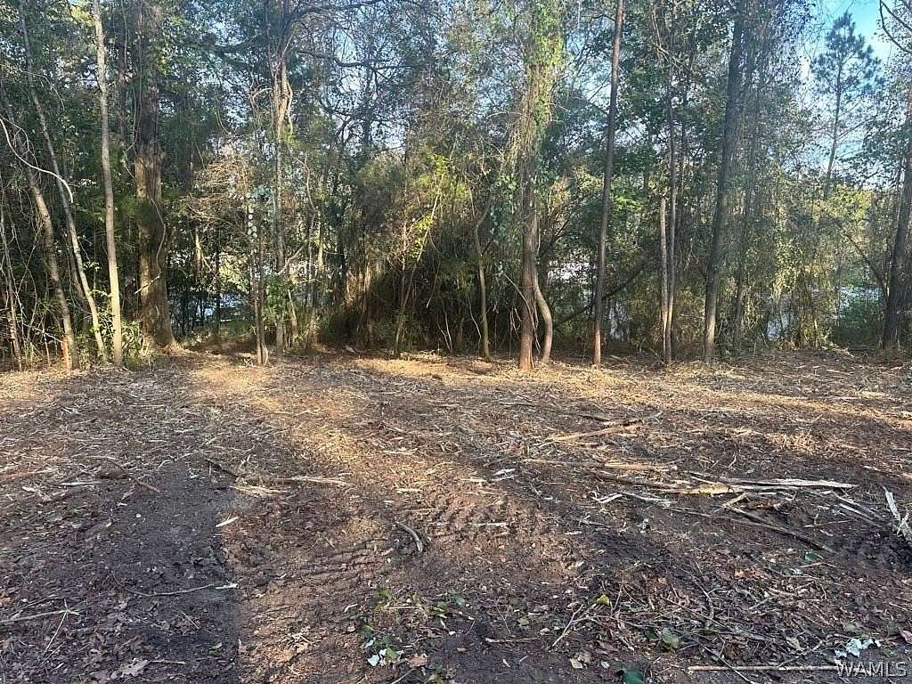 0.54 Acres of Residential Land for Sale in Brookwood, Alabama