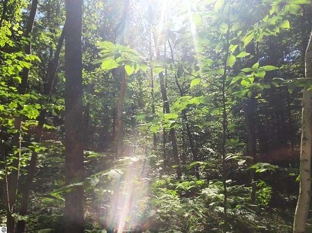 Residential Land for Sale in Glennie, Michigan