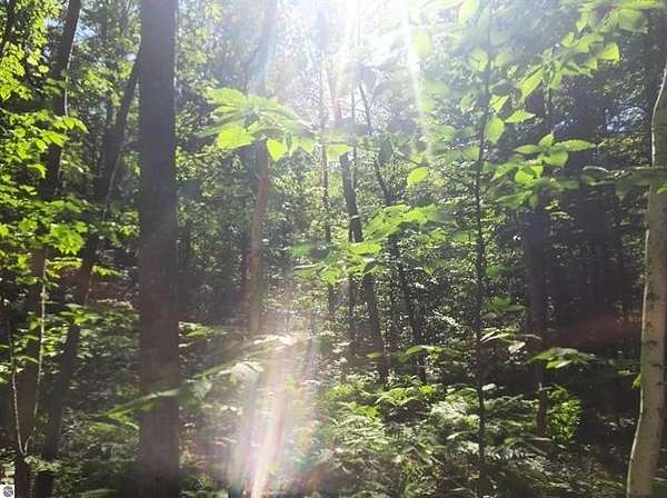 Residential Land for Sale in Glennie, Michigan