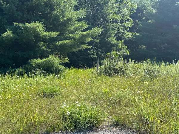 11 Acres of Land for Sale in Harrisville, Michigan