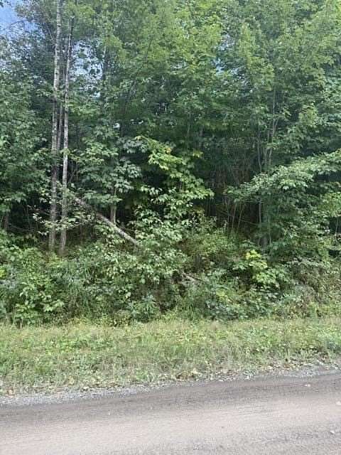 72.9 Acres of Recreational Land for Sale in Madawaska, Maine