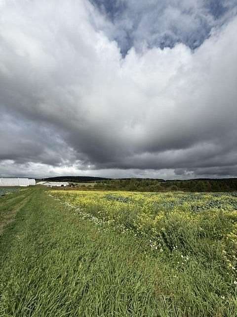 110 Acres of Agricultural Land for Sale in Frenchville, Maine