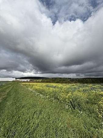 110 Acres of Agricultural Land for Sale in Frenchville, Maine