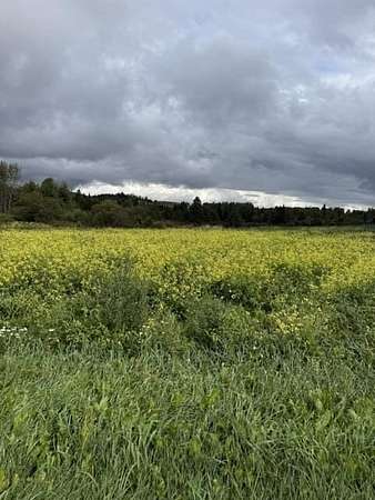 38 Acres of Agricultural Land for Sale in Frenchville, Maine