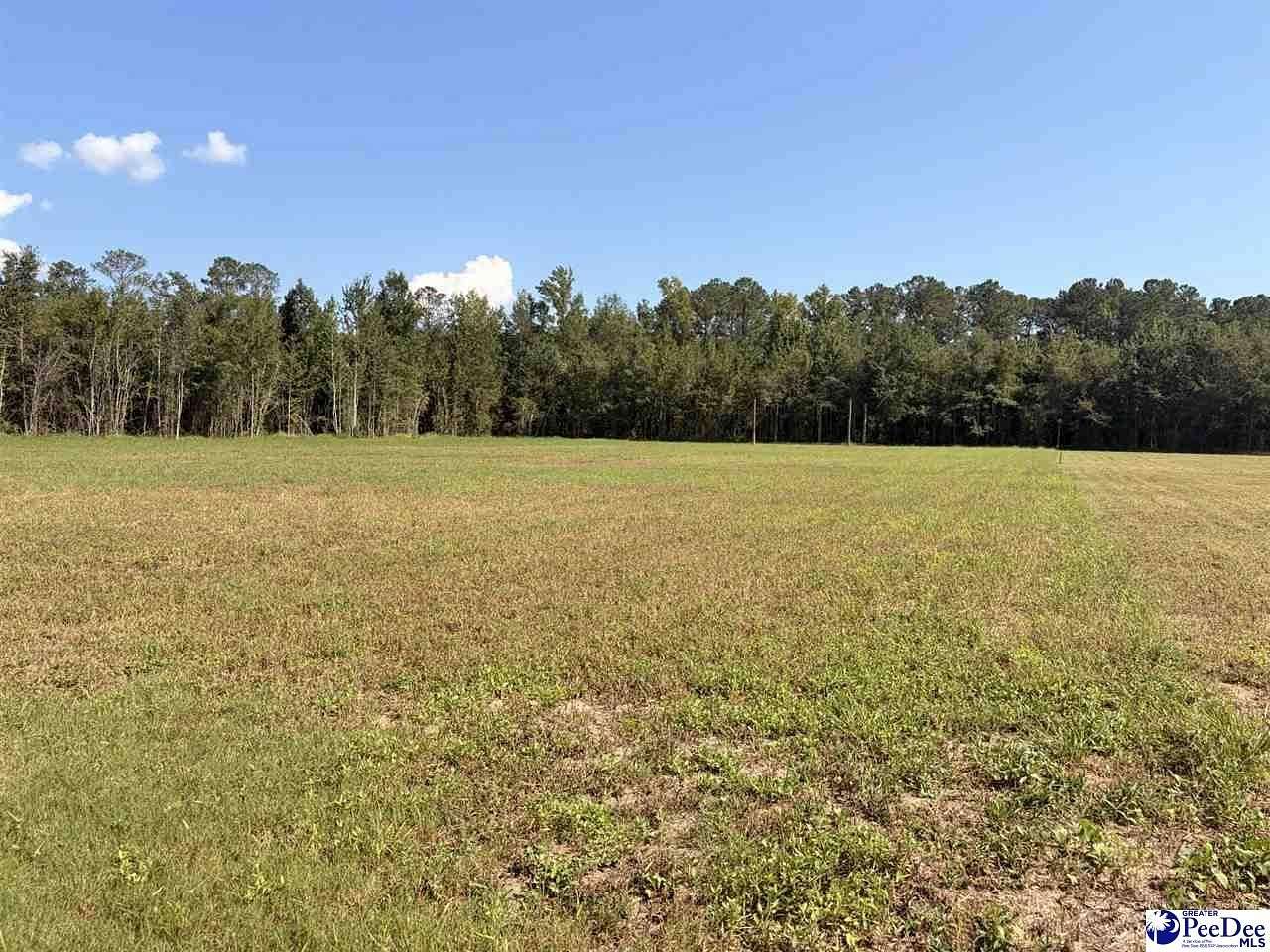 5 Acres of Residential Land for Sale in Olanta, South Carolina