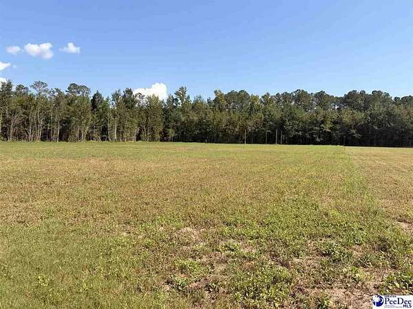 5 Acres of Residential Land for Sale in Olanta, South Carolina