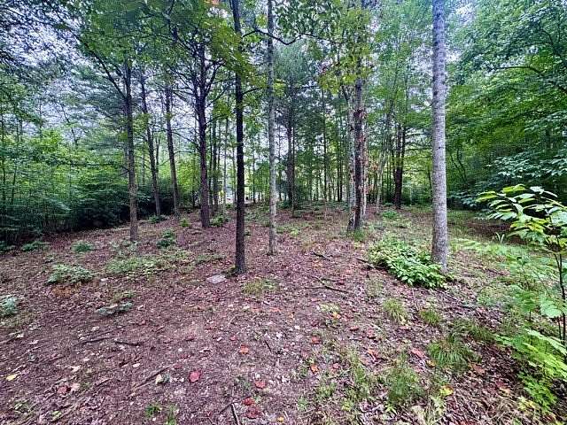 1 Acre of Residential Land for Sale in Marietta, South Carolina