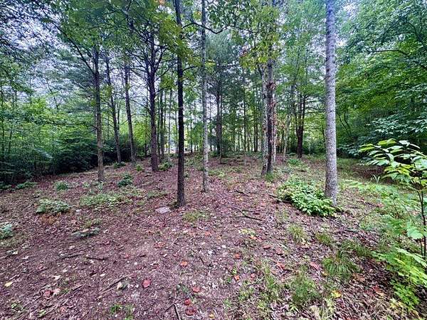 1 Acre of Residential Land for Sale in Marietta, South Carolina