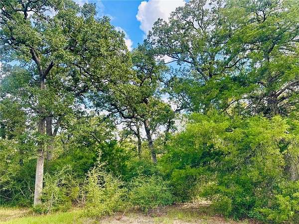 1 Acre of Residential Land for Sale in Iola, Texas
