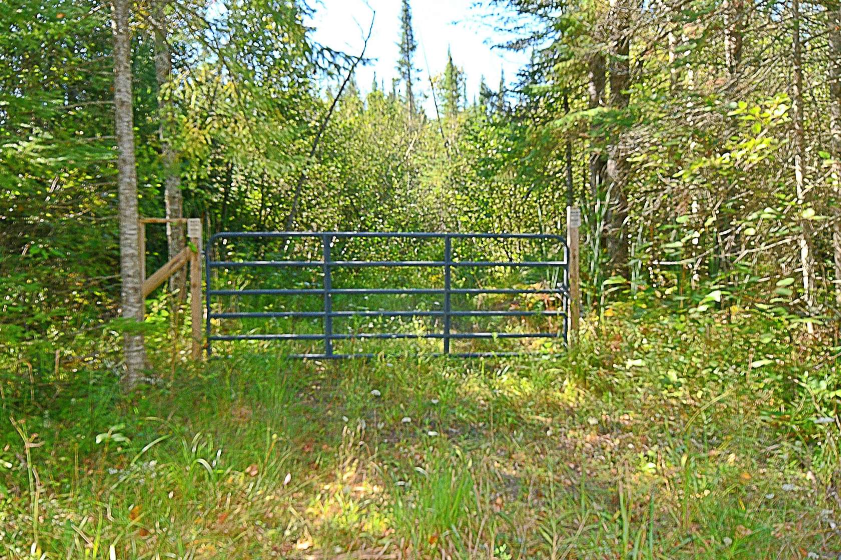 13.9 Acres of Recreational Land for Sale in St. Helen, Michigan