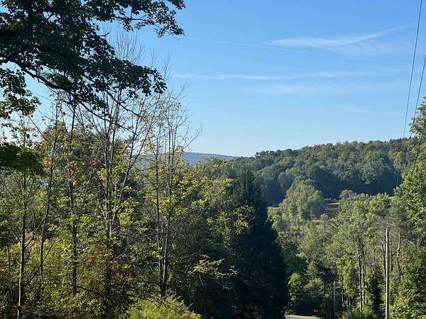 9.44 Acres of Residential Land for Sale in Unadilla, New York