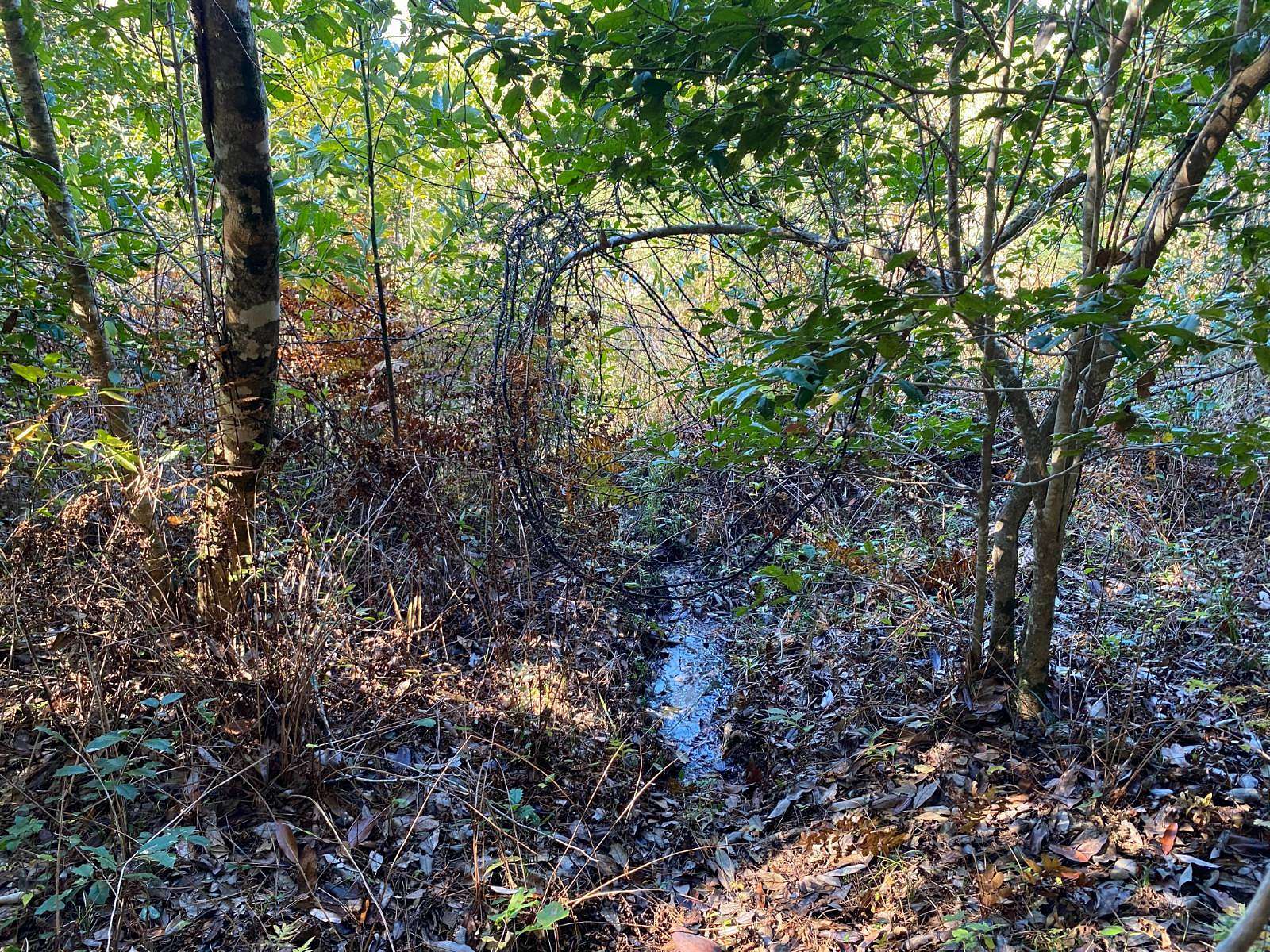 75 Acres of Recreational Land for Sale in Pinetucky, Alabama