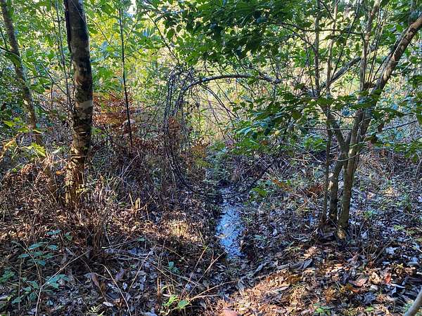 75 Acres of Recreational Land for Sale in Pinetucky, Alabama