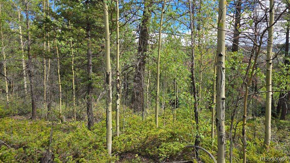 5.23 Acres of Residential Land for Sale in San Luis, Colorado