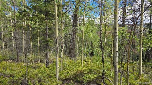 5.23 Acres of Residential Land for Sale in San Luis, Colorado