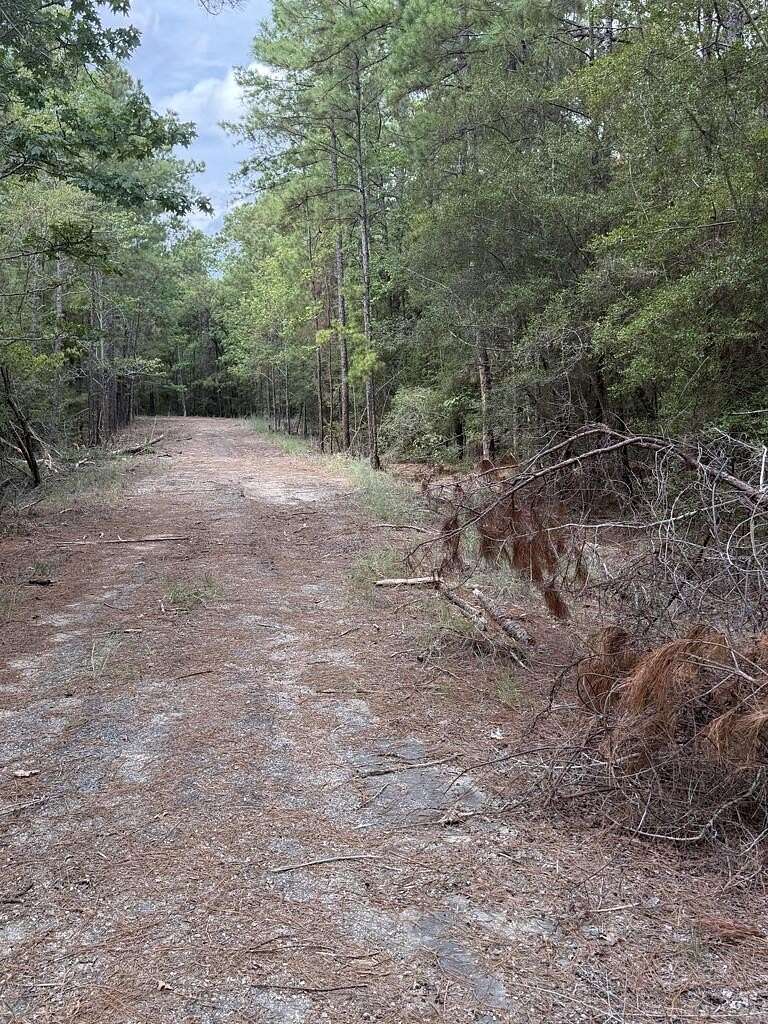 0.18 Acres of Residential Land for Sale in Brookeland, Texas
