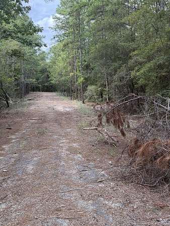 0.18 Acres of Residential Land for Sale in Brookeland, Texas