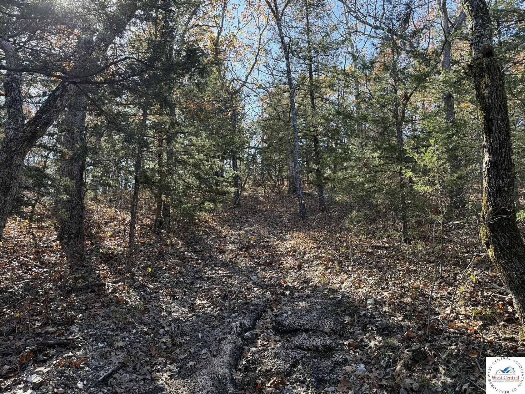 35.8 Acres of Recreational & Residential Land for Sale in Lincoln, Missouri
