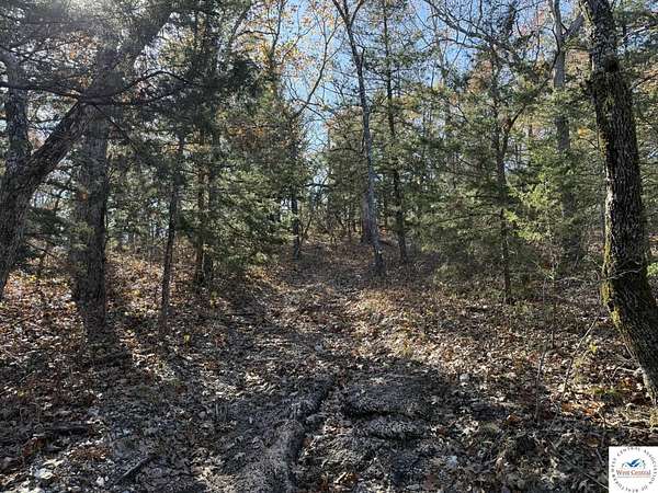 35.8 Acres of Recreational & Residential Land for Sale in Lincoln, Missouri