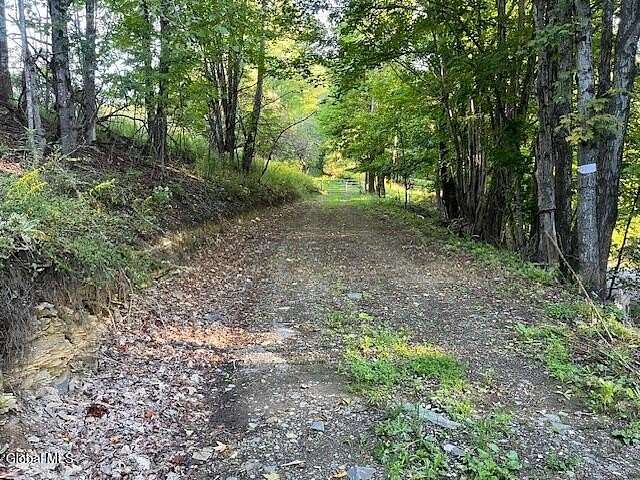 10 Acres of Recreational & Residential Land for Sale in Summit, New York