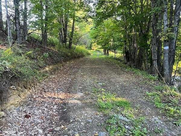 10 Acres of Recreational & Residential Land for Sale in Summit, New York