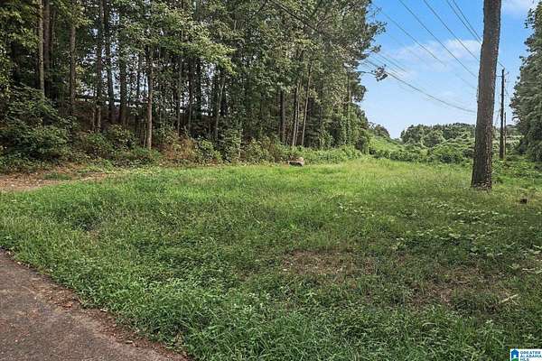 3.5 Acres of Residential Land for Sale in Bessemer, Alabama