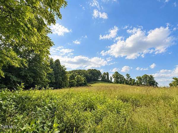 50 Acres of Recreational & Residential Land for Sale in Gate City, Virginia
