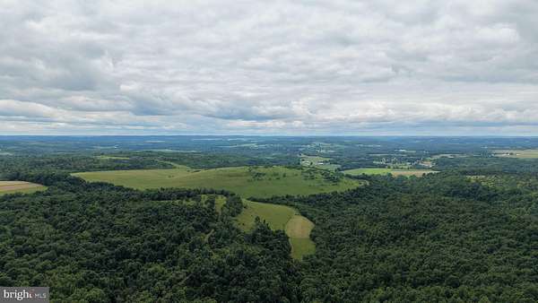 156 Acres of Recreational Land for Auction in Sligo, Pennsylvania