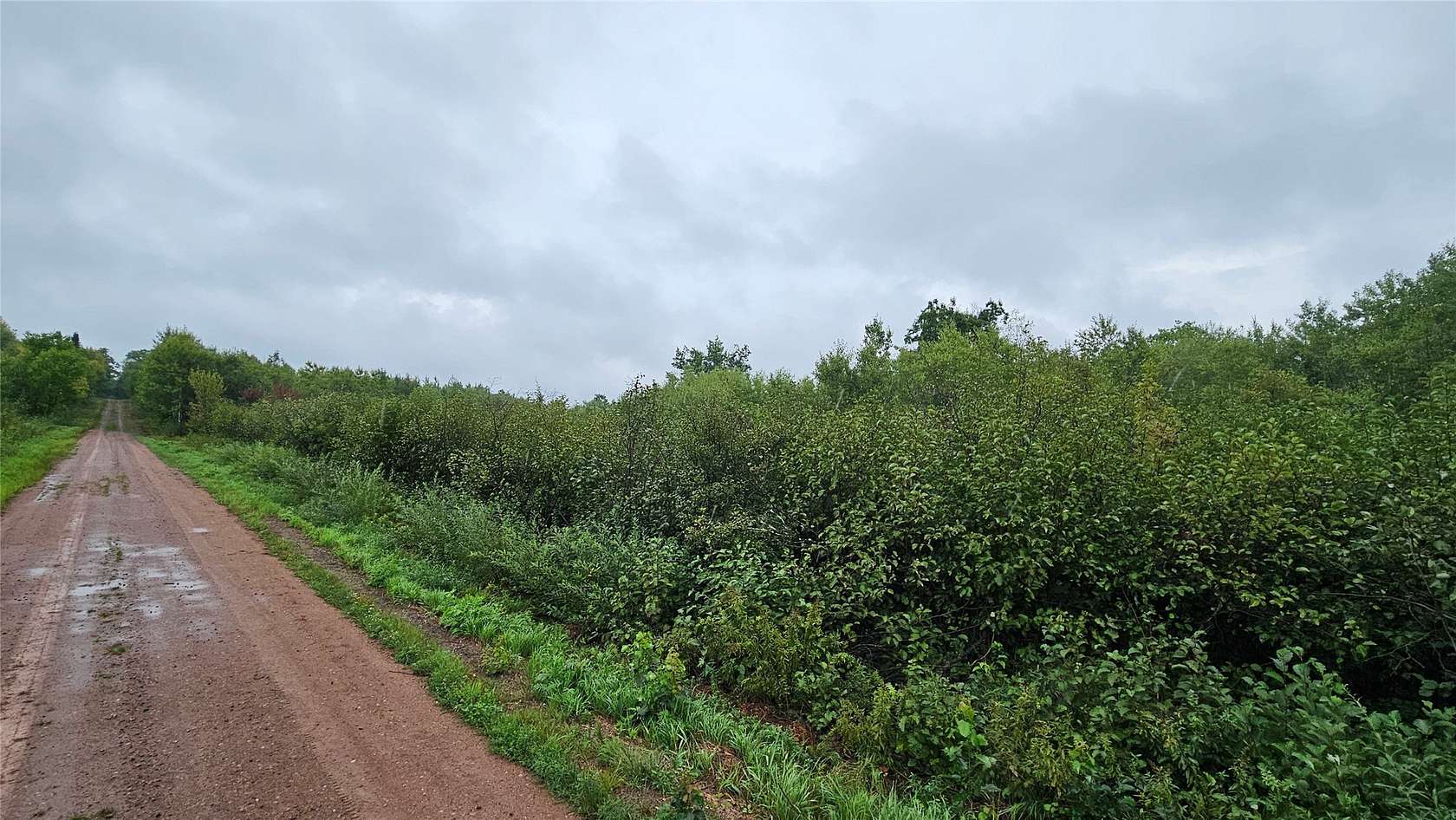 40 Acres of Land for Sale in Hayward, Wisconsin