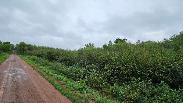 40 Acres of Land for Sale in Hayward, Wisconsin