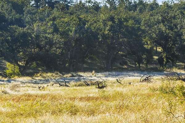 25 Acres of Land for Sale in Fredericksburg, Texas
