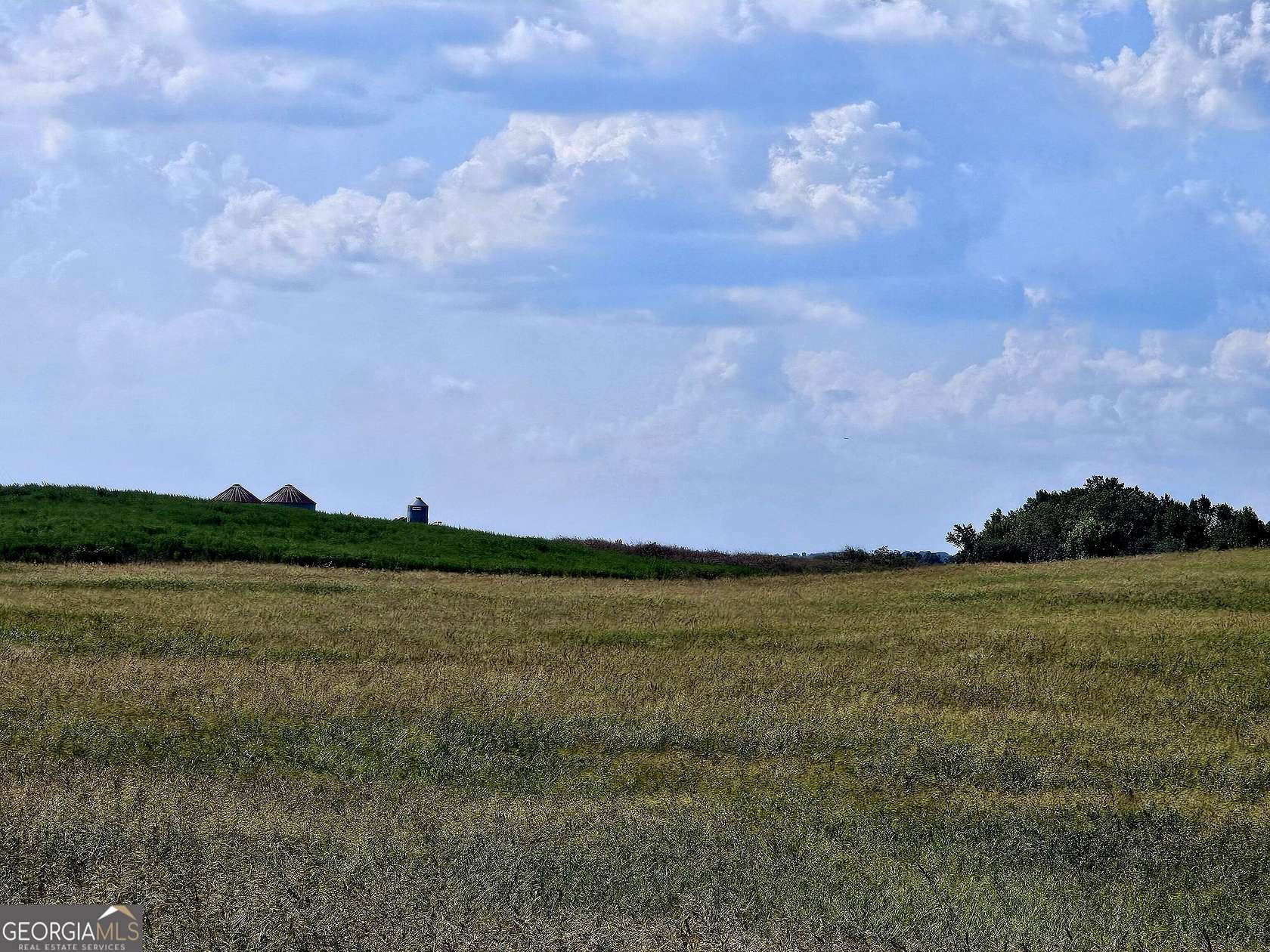 30 Acres of Land for Sale in Franklin, Georgia