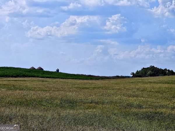 30 Acres of Land for Sale in Franklin, Georgia