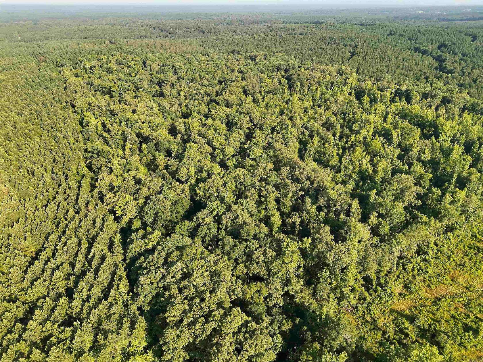 60 Acres of Recreational Land for Sale in Mineral Springs Township, Arkansas