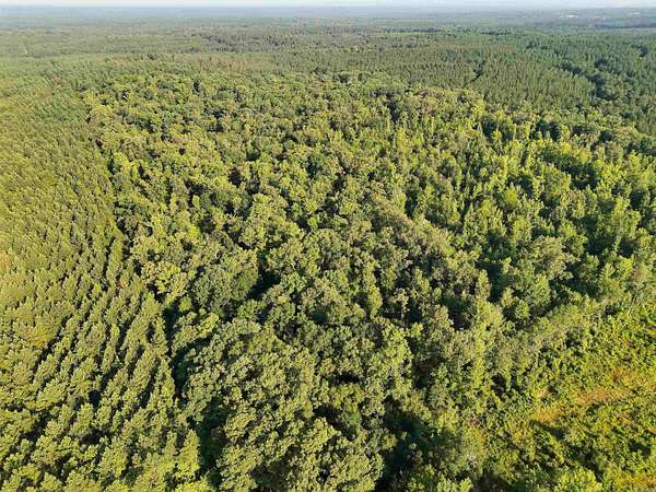 60 Acres of Recreational Land for Sale in Mineral Springs Township, Arkansas