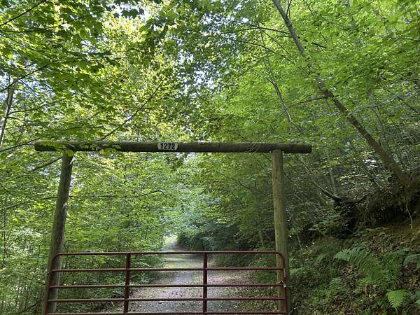 20 Acres of Recreational Land for Sale in Bean Station, Tennessee